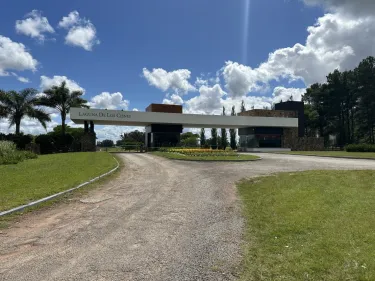 Laguna de los Cisnes
